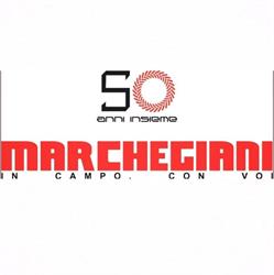 MARCHEGIANI - Pontina Trattori srl, Pontinia orari di apertura