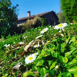 Agriturismo Borgo del Sole, San Romano in Garfagnana orari di apertura
