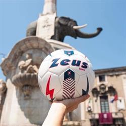 Zeus Catania, orari di apertura