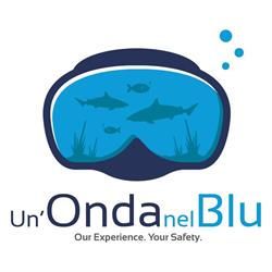 Un'Onda Nel Blu S.A.S. Di Alberti Marco & C., Provaglio d'Iseo orari di apertura