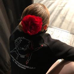 Scuola Danza Giselle, Somma Lombardo orari di apertura