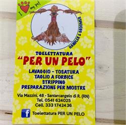 Toelettatura Per Un Pelo, Santarcangelo di Romagna orari di apertura
