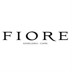 Gioielleria Fiore Srl, Capri orari di apertura