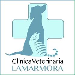 Clinica Veterinaria Lamarmora, Livorno orari di apertura
