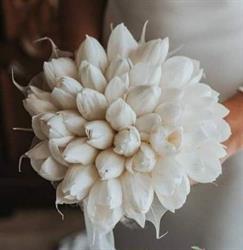 IL Tulipano wedding Flower Events, Serradifalco orari di apertura