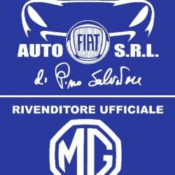 Pino Salvatore Automobili Srl, Lamezia Terme orari di apertura