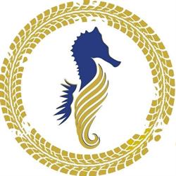 Wedding Car and Transportation - COOPERATIVA SEAHORSE SRL, Sorrento orari di apertura
