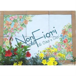 Non solo Fiori di Ciro e Giò, Piano di Sorrento orari di apertura