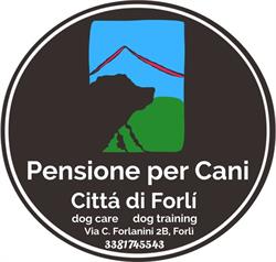 Pensione per Cani Città di Forlì, orari di apertura