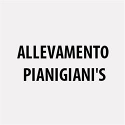 Allevamento Pianigiani'S, Castellina in Chianti orari di apertura