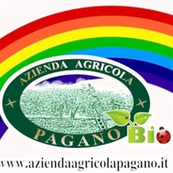 Azienda Agricola Pagano, Lucca Sicula orari di apertura