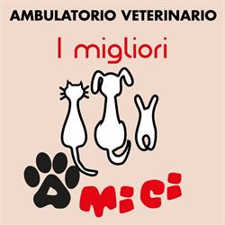 Ambulatorio veterinario I Migliori Amici, Capannori orari di apertura