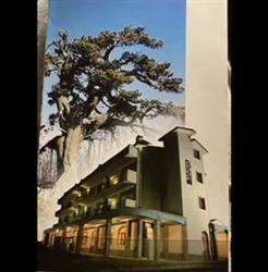 Hotel Pino Loricato, Terranova di Pollino orari di apertura