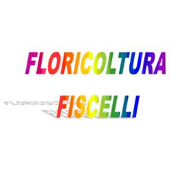 Floricoltura Fiscelli, Olgiate Olona orari di apertura