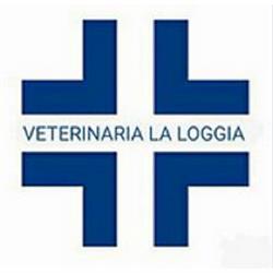 Ambulatorio Associato Veterinaria La Loggia, Roma orari di apertura