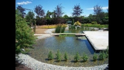Tiglio and Company - Giardini e Terrazzi Rho, Milano - Orari di apertura