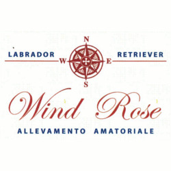Allevamenti Windrose, Campolongo Maggiore orari di apertura