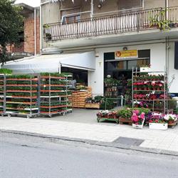 Oltrenatura Lucca Giuseppe, Torregrotta orari di apertura