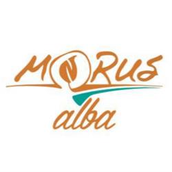 Morus Alba Wine Bar, Torre Archirafi orari di apertura