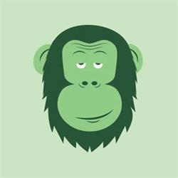 Green Monkey, Roma orari di apertura