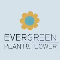 Ever Green, Oristano orari di apertura