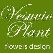 Vesuvio Plant, Ercolano orari di apertura