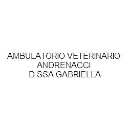Ambulatorio Veterinario Dr.ssa Andrenacci Gabriella, Bellante orari di apertura