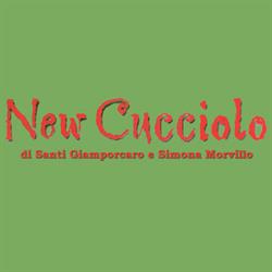 New Cucciolo Negozio di Animali, Messina orari di apertura