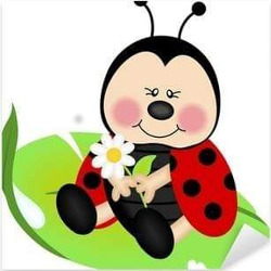 La Coccinella di Garofalo Gaetano, Palermo orari di apertura