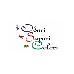 Club Enogastronimico Odori Sapori e Colori, Albanella orari di apertura
