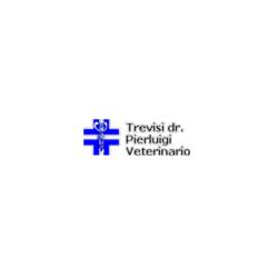 Trevisi Dott. Pierluigi - Veterinario, Faenza orari di apertura