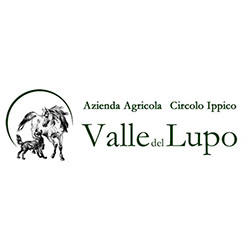 Centro Ippico Maneggio Valle del lupo, San Giovanni Teatino orari di apertura
