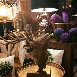 Tato e Tata Complementi D'Arredo, Asiago orari di apertura