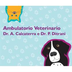 Ambulatorio Veterinario dei Dottori Calcaterra e Ditrani, Vigevano orari di apertura