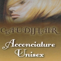 Parrucchiere Gaudi Hair, Pieve a Nievole orari di apertura