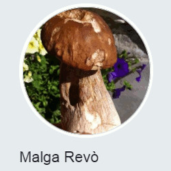 Malga Revó, Proves orari di apertura