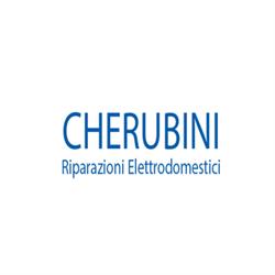 Cherubini Riparazione Elettrodomestici, Chianciano Terme orari di apertura