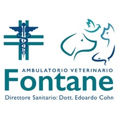 Ambulatorio Veterinario Fontane, Villorba orari di apertura