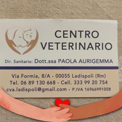 Centro Veterinario Dott. Aurigemma, Ladispoli orari di apertura