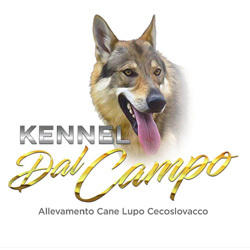 Il Campo Ranch Pensione per Cani, Camaiore orari di apertura
