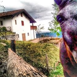 Agriturismo Verde Friuli, Forgaria nel Friuli orari di apertura