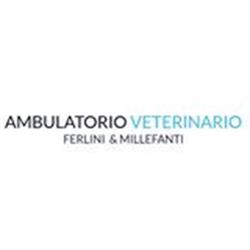 Ambulatorio Veterinario Ferlini e Millefanti, Gaggiano orari di apertura