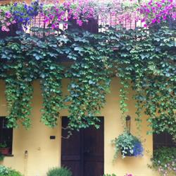 Ristorante dal Duca, San Benigno Canavese orari di apertura