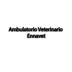 Ambulatorio Veterinario Ennavet, orari di apertura
