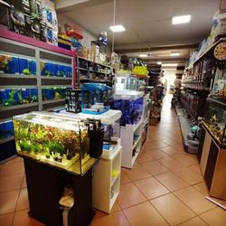Discount Animali, Agrigento orari di apertura
