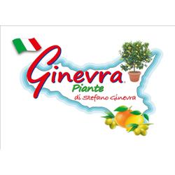 Ginevra Piante, Falcone orari di apertura