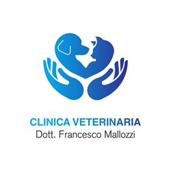 Clinica Veterinaria Mallozzi, San Giorgio a Liri orari di apertura