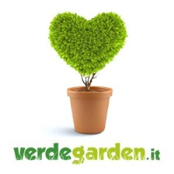 Sbaraglia S.r.l., Torrevecchia Teatina orari di apertura