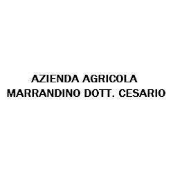 Azienda Agricola Marrandino Cesario, Aversa orari di apertura