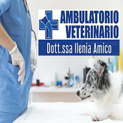 Ambulatorio veterinario Dott.ssa Ilenia Amico, Cropani orari di apertura